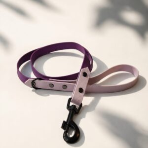 Laisse bi-color 19mm