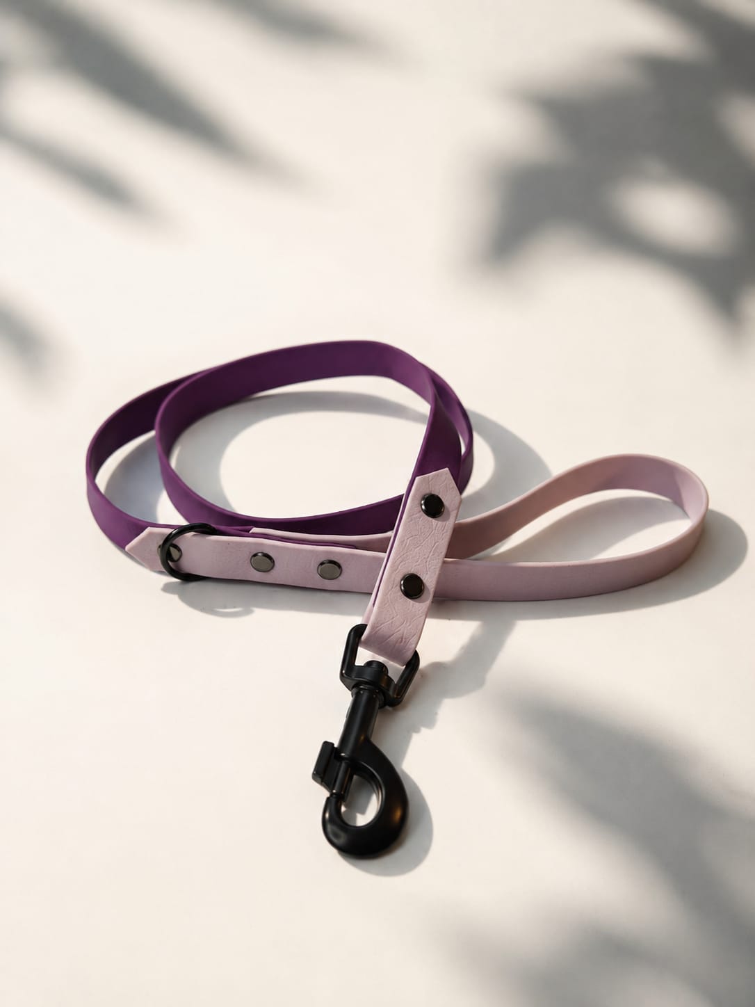 Laisse bi-color 19mm