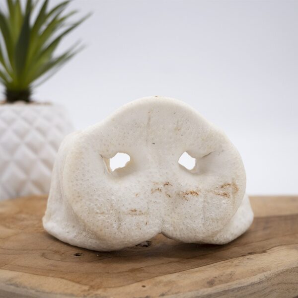 Groin de Porc soufflée – Image 3