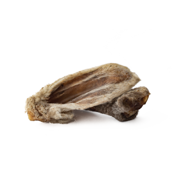 Oreilles d'Agneau avec poils