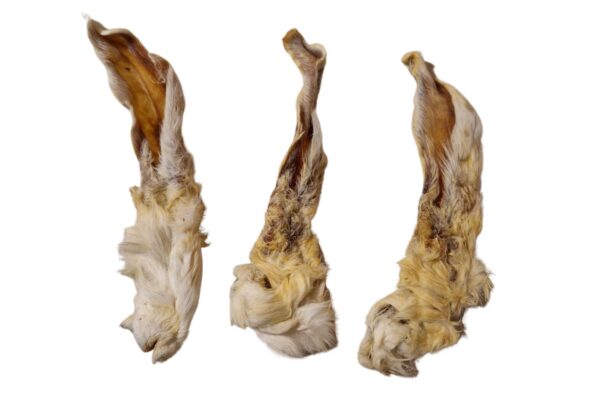 Oreilles de Lapin avec poils – Image 2