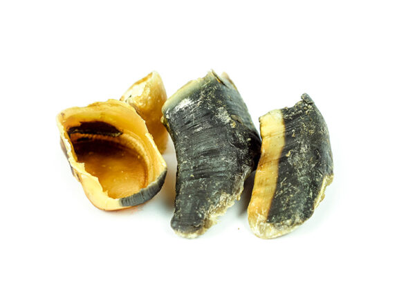 Sabot de bœuf