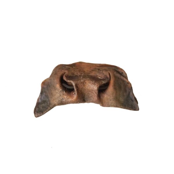 Museau de Bœuf