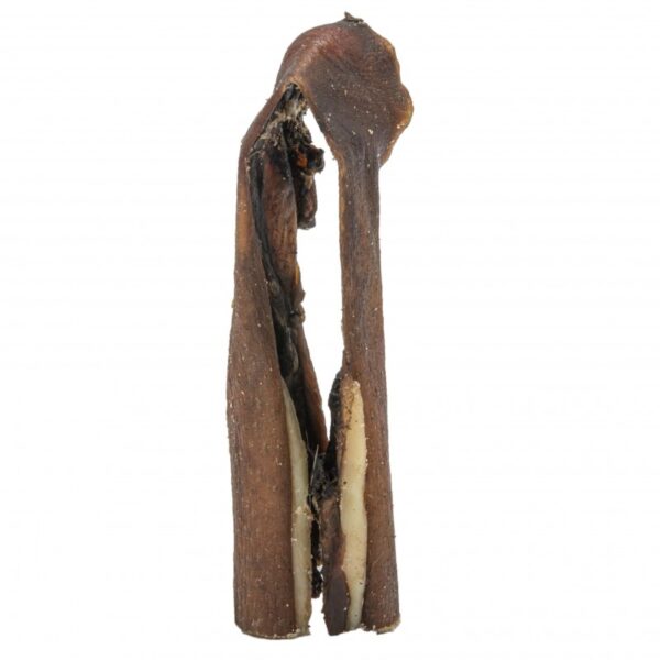 Peau de Sanglier – Image 2