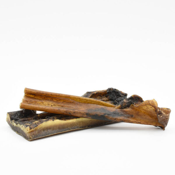 Peau de Sanglier